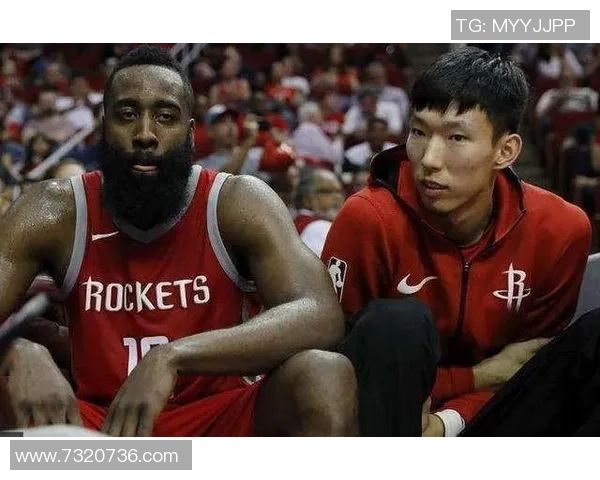 杭州排球队状态回暖大满贯点评展现球队新气象